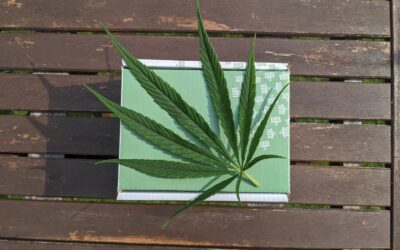The Importance of Sustainable Cannabis Packaging