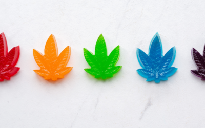 The Best Cannabis Packaging Options for Edibles